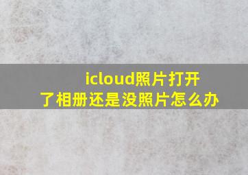 icloud照片打开了相册还是没照片怎么办