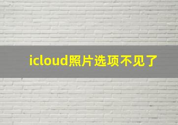 icloud照片选项不见了