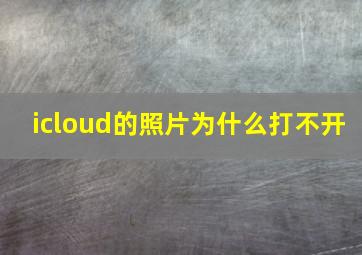 icloud的照片为什么打不开