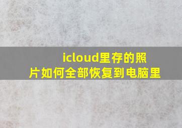 icloud里存的照片如何全部恢复到电脑里