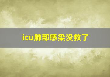 icu肺部感染没救了