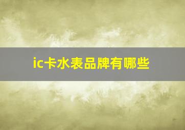 ic卡水表品牌有哪些