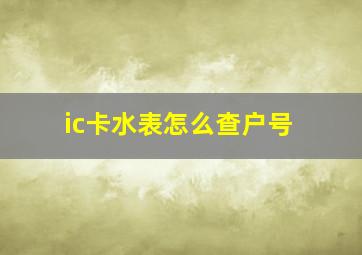 ic卡水表怎么查户号