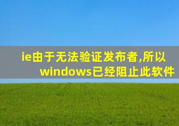 ie由于无法验证发布者,所以windows已经阻止此软件