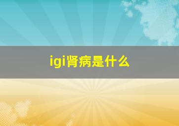 igi肾病是什么