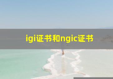 igi证书和ngic证书