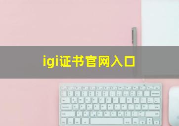 igi证书官网入口