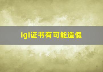 igi证书有可能造假