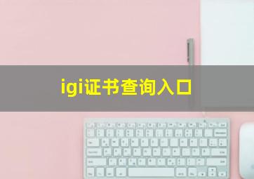 igi证书查询入口