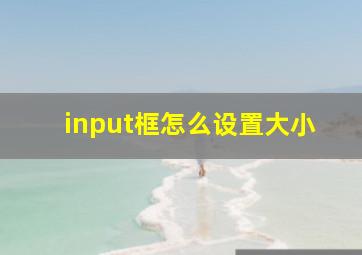 input框怎么设置大小