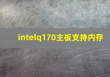 intelq170主板支持内存