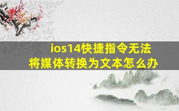 ios14快捷指令无法将媒体转换为文本怎么办