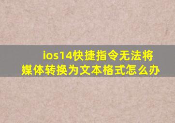 ios14快捷指令无法将媒体转换为文本格式怎么办