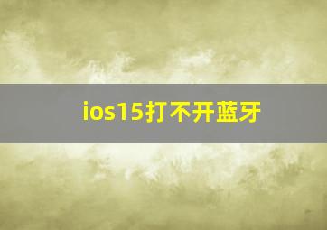 ios15打不开蓝牙