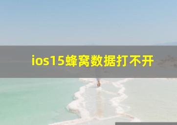 ios15蜂窝数据打不开