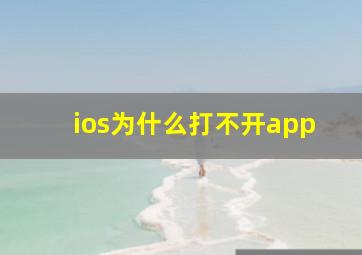 ios为什么打不开app