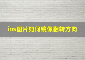 ios图片如何镜像翻转方向