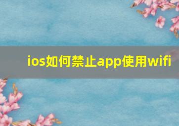 ios如何禁止app使用wifi