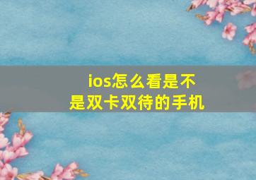 ios怎么看是不是双卡双待的手机