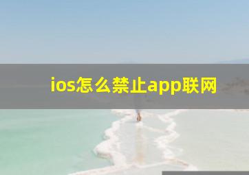 ios怎么禁止app联网