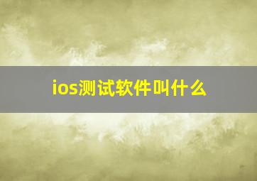 ios测试软件叫什么