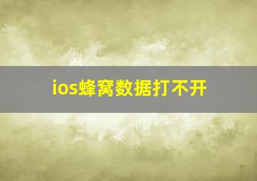 ios蜂窝数据打不开