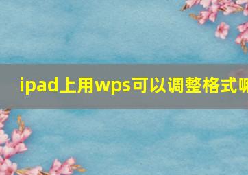 ipad上用wps可以调整格式嘛