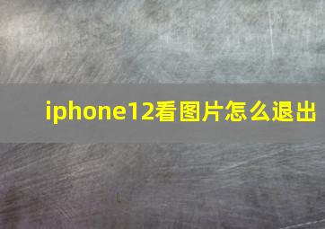 iphone12看图片怎么退出