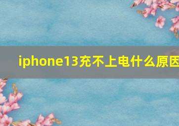 iphone13充不上电什么原因