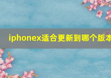 iphonex适合更新到哪个版本