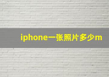 iphone一张照片多少m