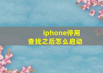 iphone停用查找之后怎么启动