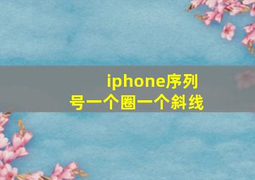 iphone序列号一个圈一个斜线