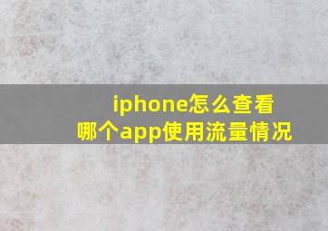 iphone怎么查看哪个app使用流量情况