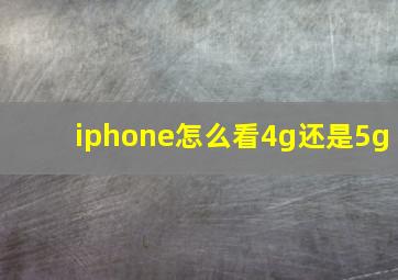 iphone怎么看4g还是5g