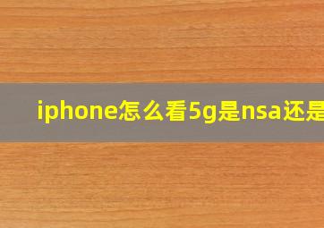 iphone怎么看5g是nsa还是sa