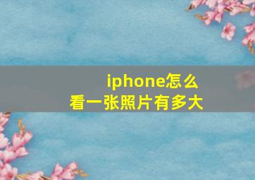 iphone怎么看一张照片有多大