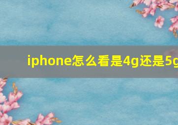 iphone怎么看是4g还是5g