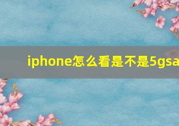 iphone怎么看是不是5gsa