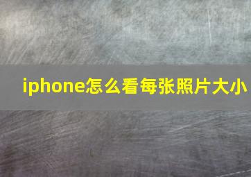 iphone怎么看每张照片大小