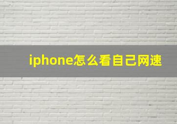 iphone怎么看自己网速