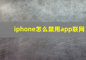 iphone怎么禁用app联网