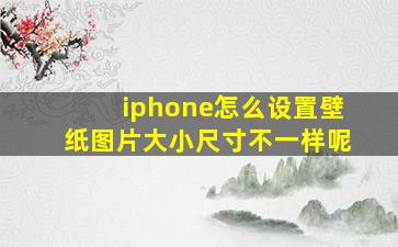 iphone怎么设置壁纸图片大小尺寸不一样呢