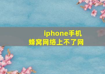 iphone手机蜂窝网络上不了网