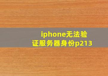 iphone无法验证服务器身份p213