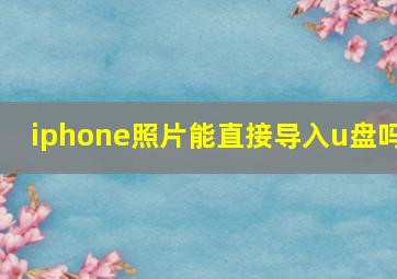 iphone照片能直接导入u盘吗