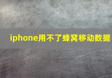 iphone用不了蜂窝移动数据