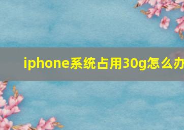 iphone系统占用30g怎么办