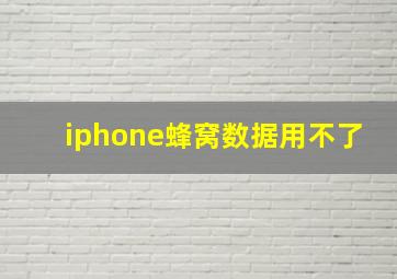 iphone蜂窝数据用不了