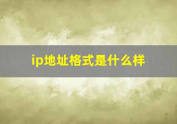 ip地址格式是什么样